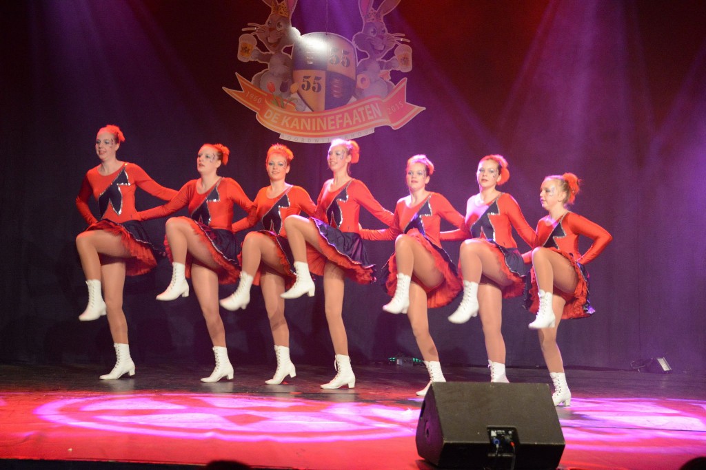 ../Images/Dansmarieke festival 2015 242.jpg